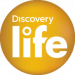discovery life